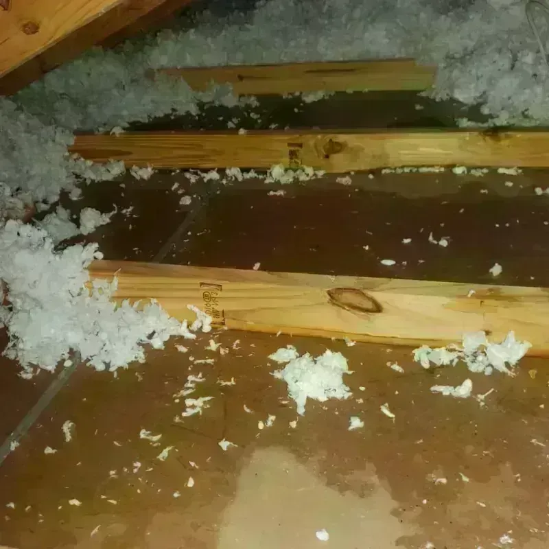 Attic Water Damage in Logan County, WV